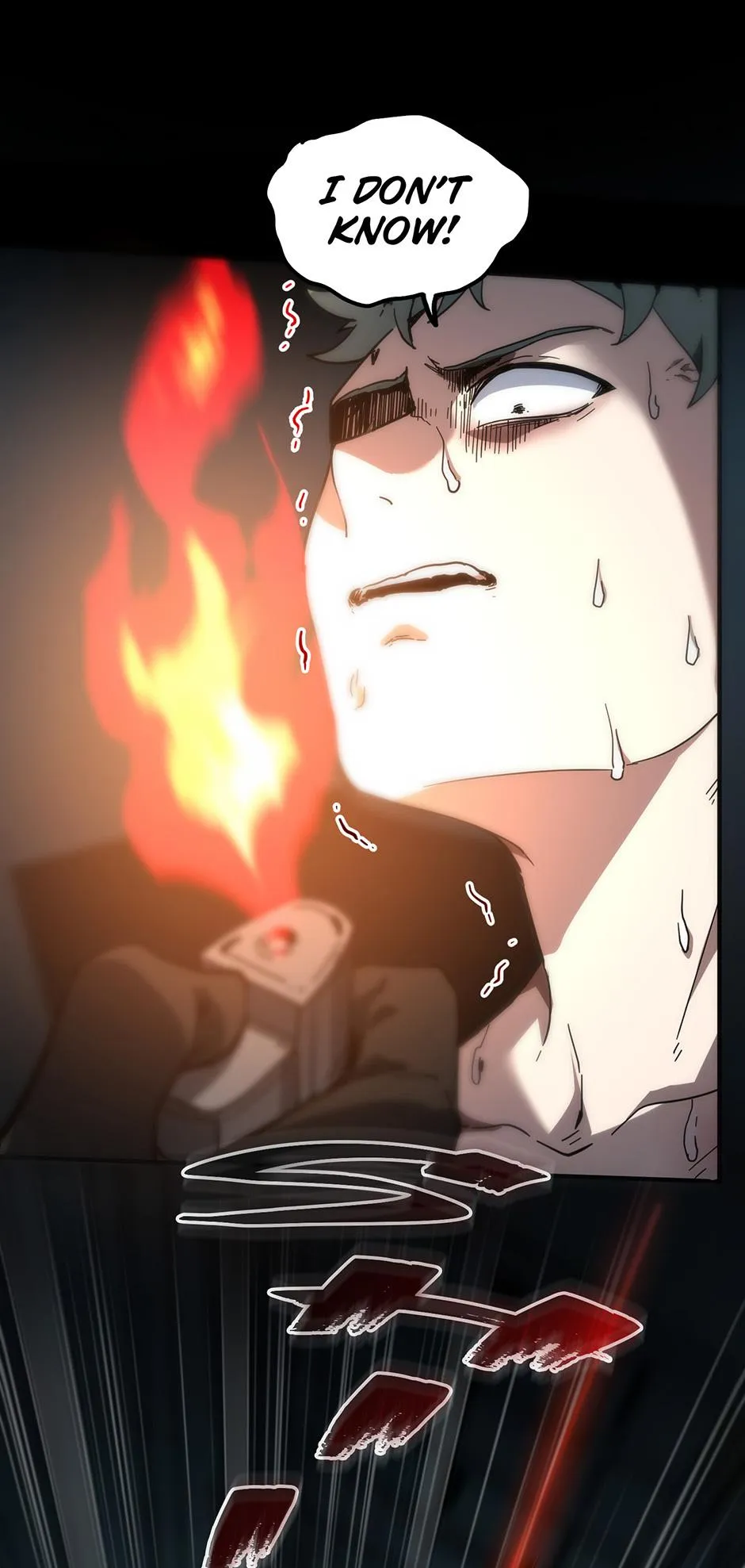 the beginning after the end