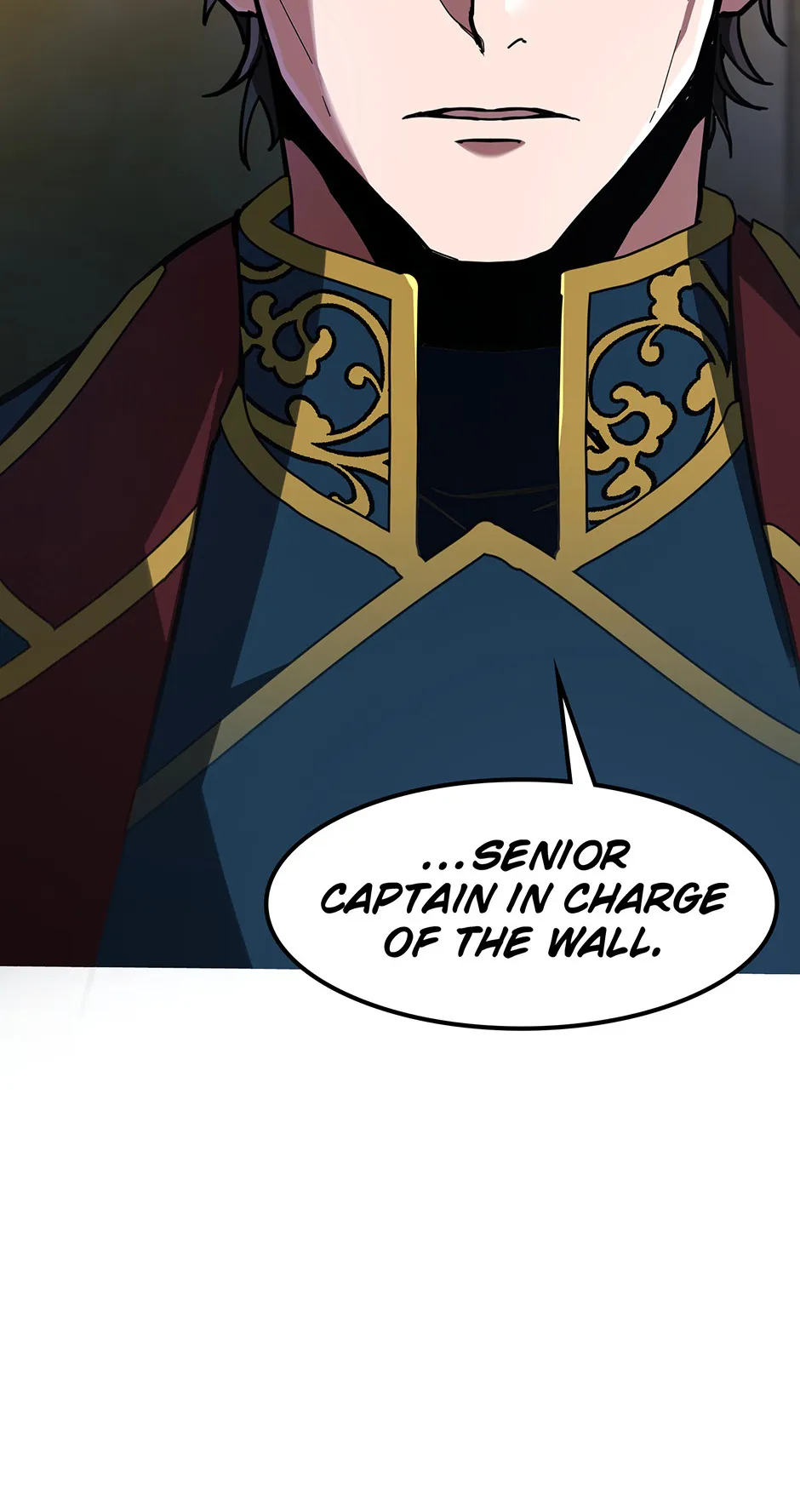 the beginning after the end